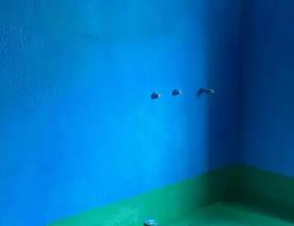 田阳卫生间测漏水多少钱